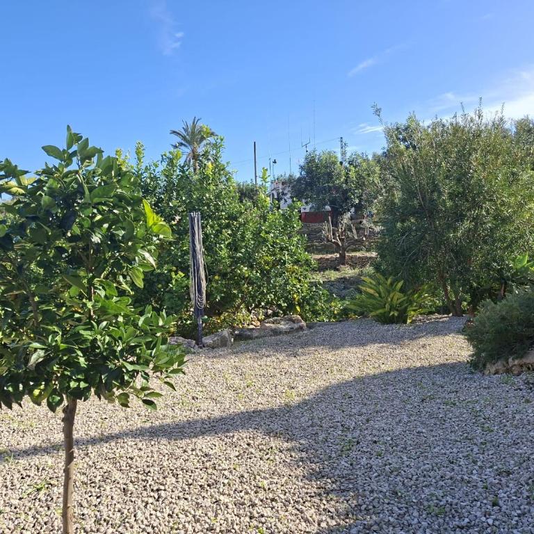 Villa with private pool in El Montgó, Denia - Casa de 2 dormitorios - 33