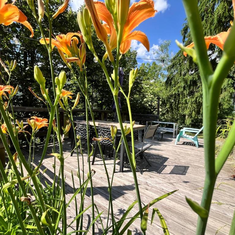 Le Chalet des Eulets - Appartement - Vue sur Jardin - 51