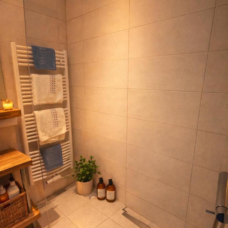 Stadthotel Carinthia - Penthouse-Apartment - 17