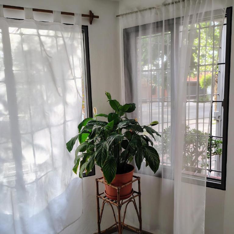 The Palm HouseBoutique apartment - Apartamento de 1 dormitorio - 10