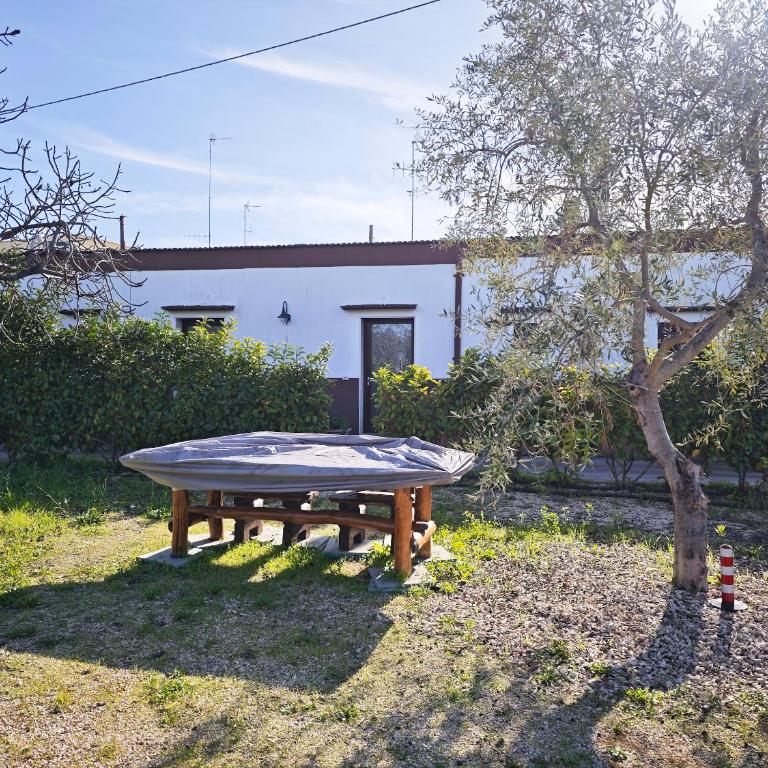 Casa Guerrieri - Appartamento con 1 Camera da Letto - 17