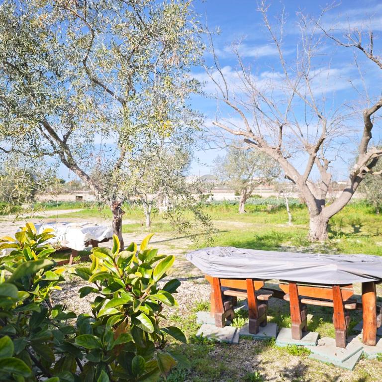 Casa Guerrieri - Appartamento con 1 Camera da Letto - 20