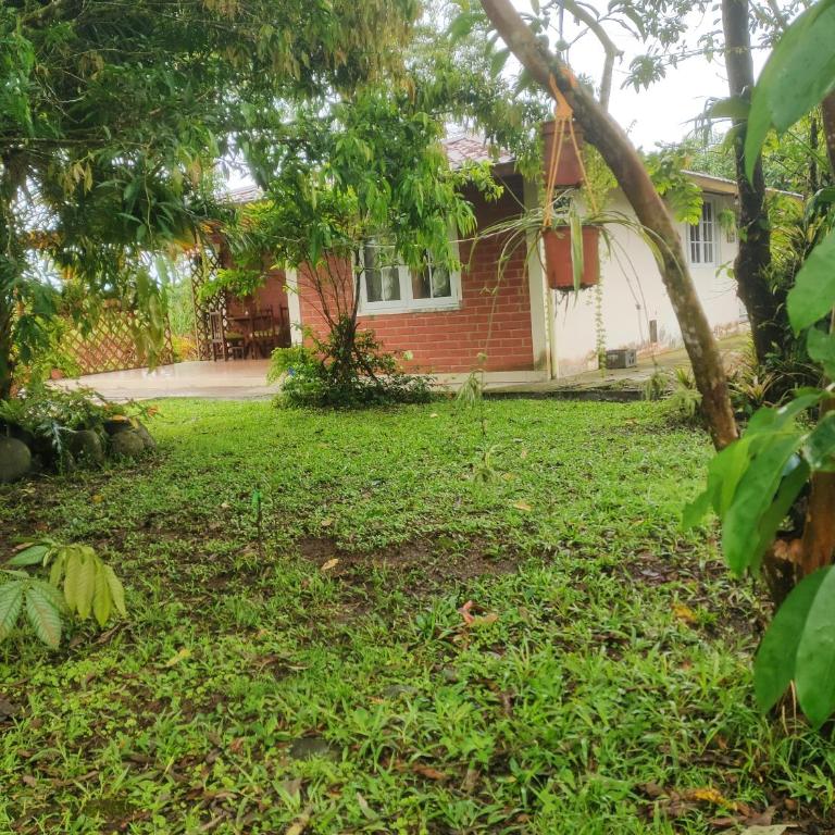 Casa de huespedes - Two-Bedroom Villa - 10