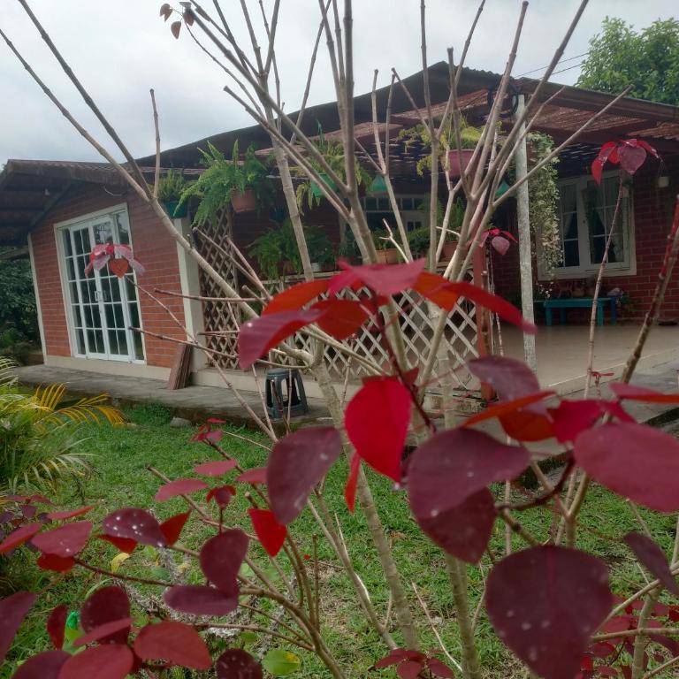 Casa de huespedes - Two-Bedroom Villa - 12