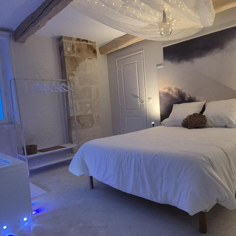 Gîtes Atypiques Saumur - Gîtes *** - Spa & Balnéo - Appartement Premium 1 Chambre - 10