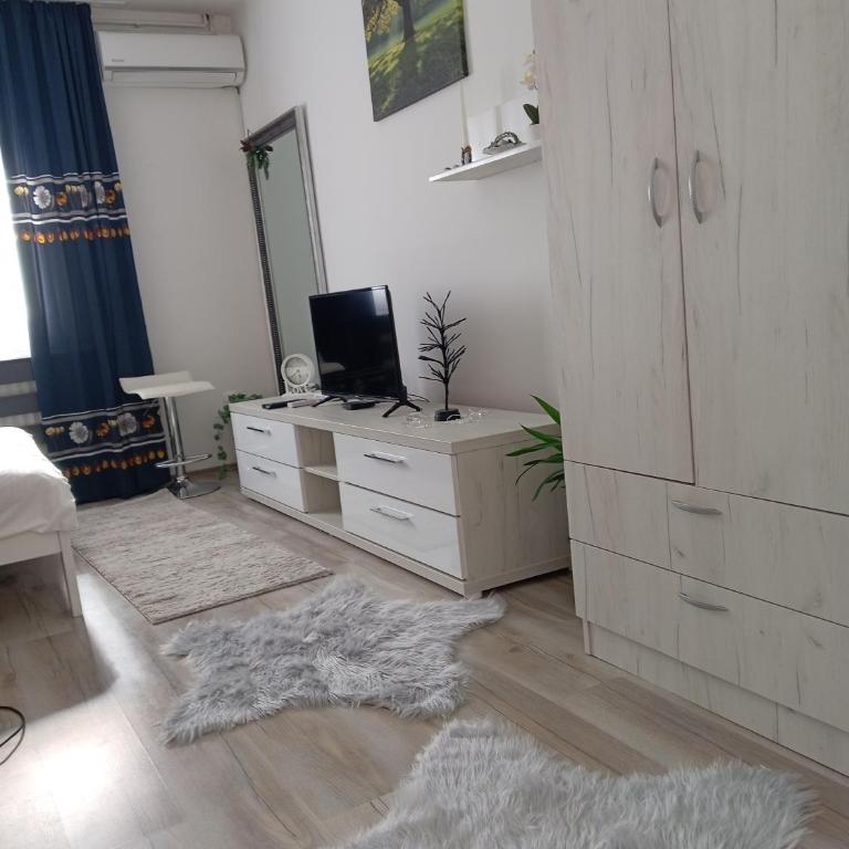Apartmani Nana - Apartman sa 1 Spavaćom Sobom - 13