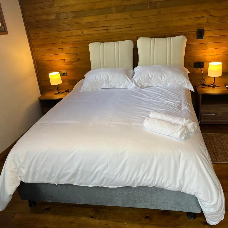 Cabaña tipo glamping en finca cafetera con zonas verdes, avistamiento de aves, paisaje cafetero - Chalet de 1 dormitorio - 9