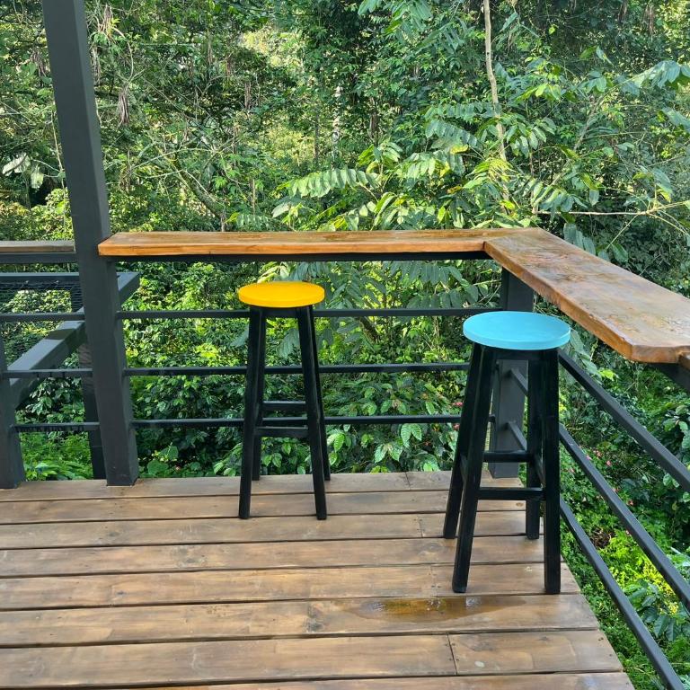 Cabaña tipo glamping en finca cafetera con zonas verdes, avistamiento de aves, paisaje cafetero - Chalet de 1 dormitorio - 17