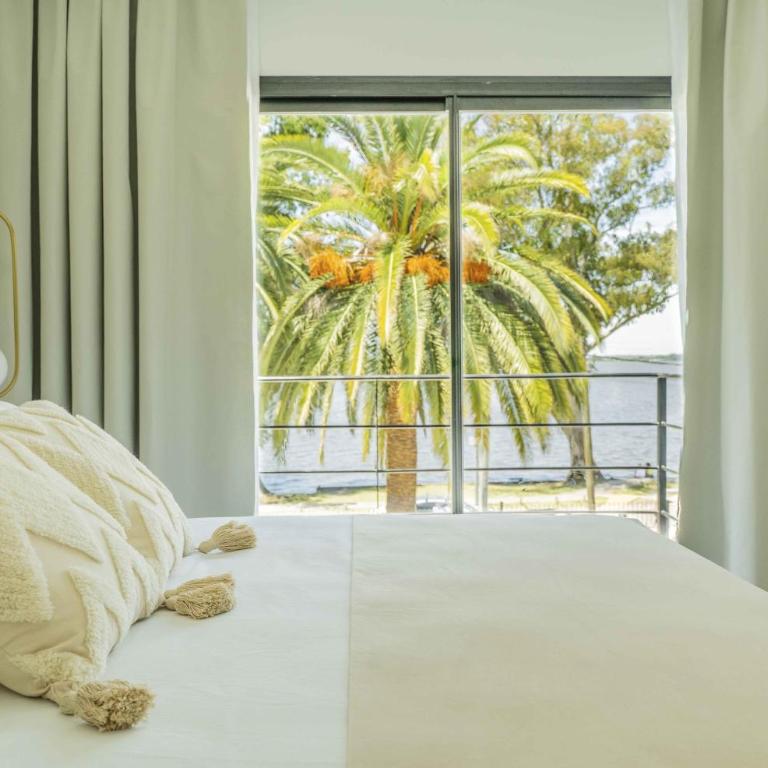 Palmas de la Laguna by Posada Suiza - Suite con Vistas - Laguna - 1