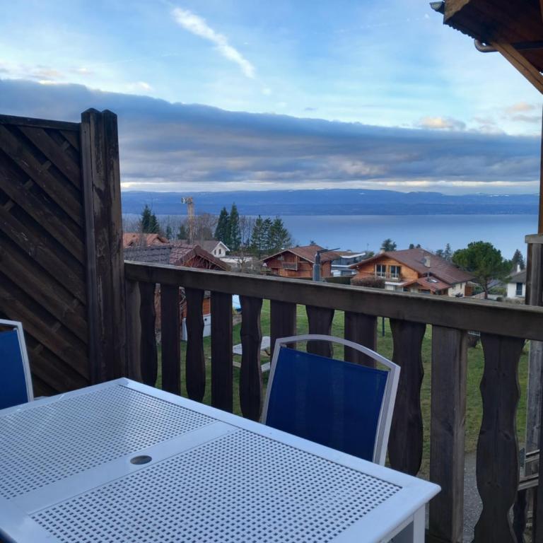 Les chalets d Evian - Appartement 2 Chambres - 1