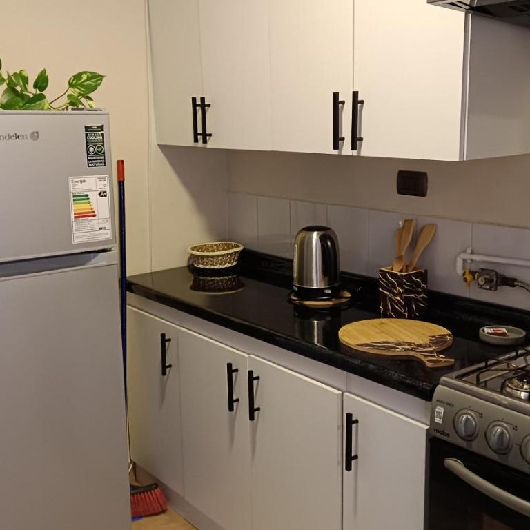 Chillan Centro - Two-Bedroom Apartment - 8