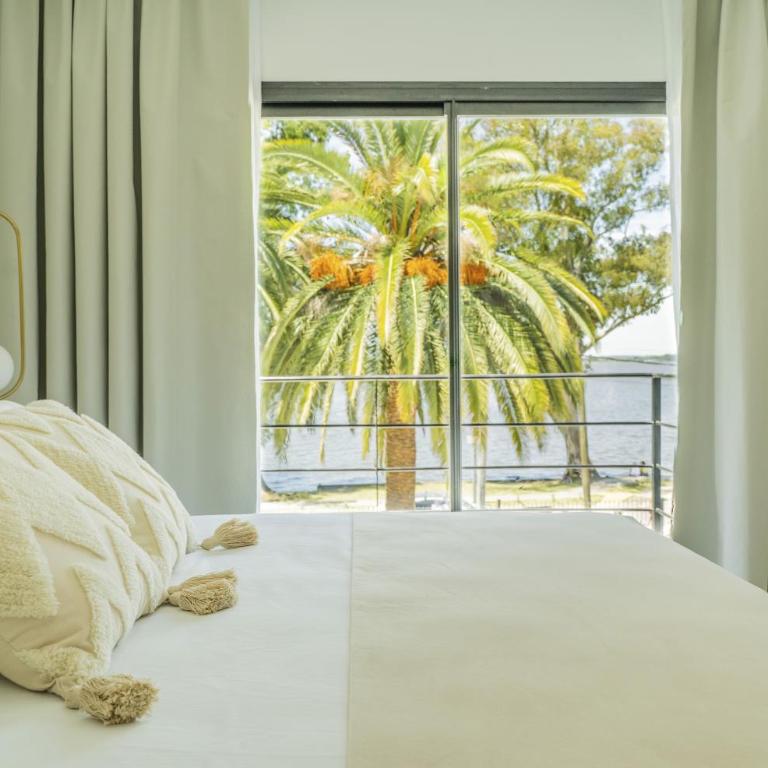 Palmas de la Laguna by Posada Suiza - Suite con Vistas - Laguna - 10