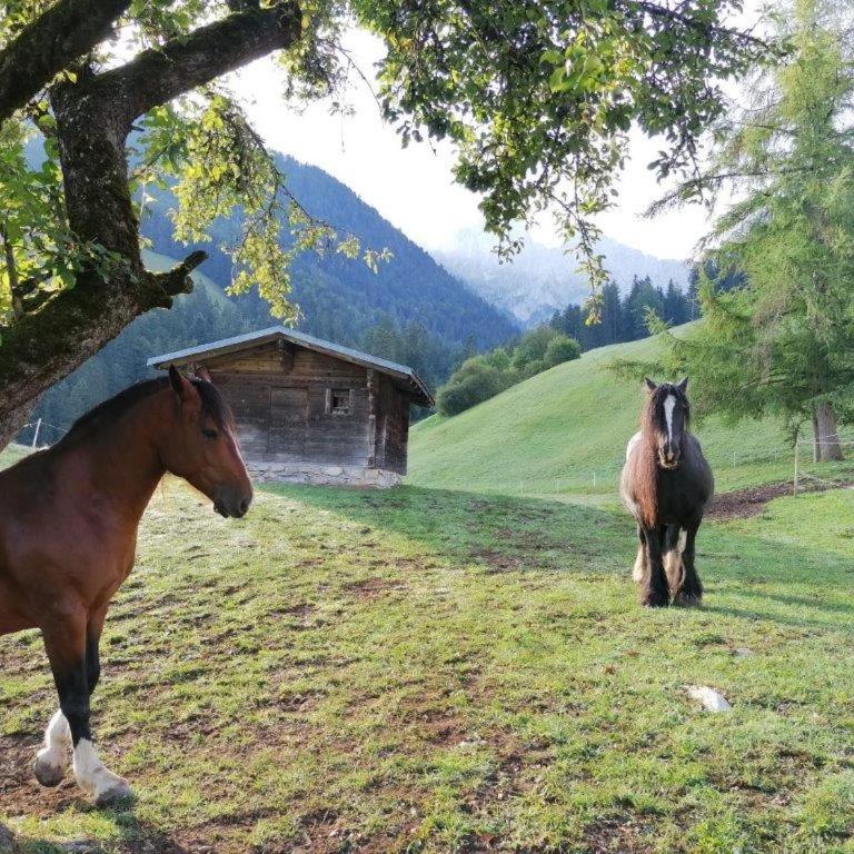 Au Pré des Chevaux - Doppelzimmer mit Gartenblick - 2