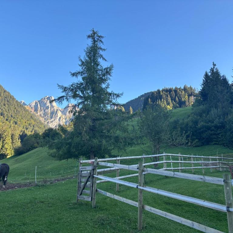 Au Pré des Chevaux - Doppelzimmer mit Gartenblick - 1