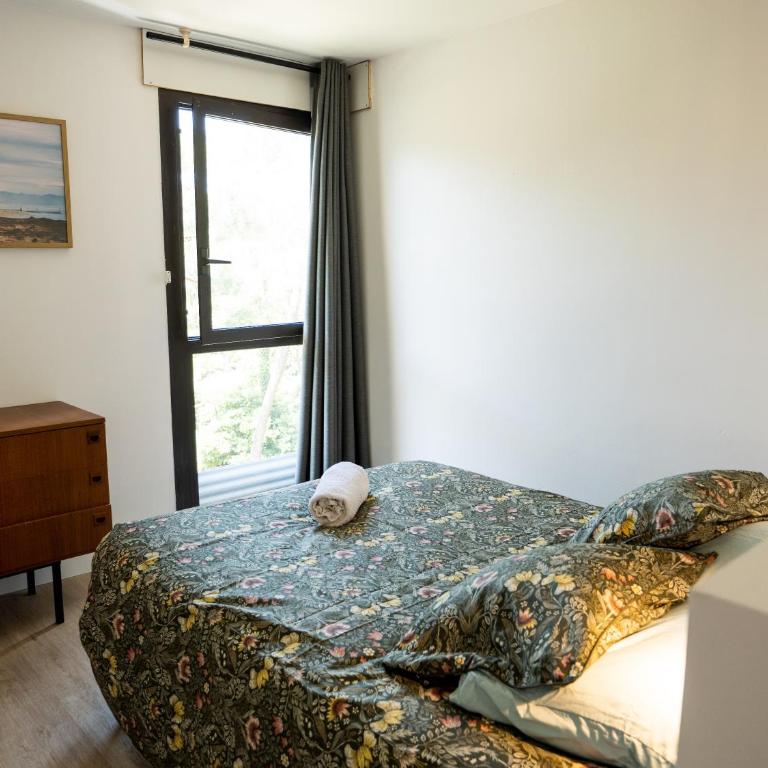 Appartement pour couple- Le Penon proche plage - Apartment mit 1 Schlafzimmer - 2