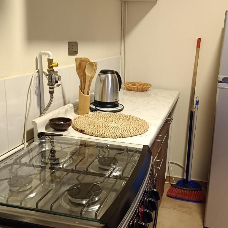 Chillan Centro - Three-Bedroom Apartment - 15