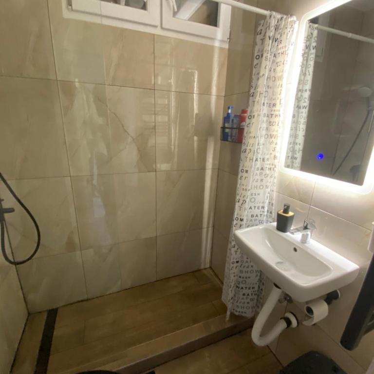 Apartament in Novi Sad - Apartman sa 1 Spavaćom Sobom - 7