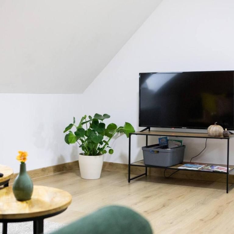 Sienna - Calme et bien-être au coeur de Mulhouse - Two-Bedroom Apartment - 10