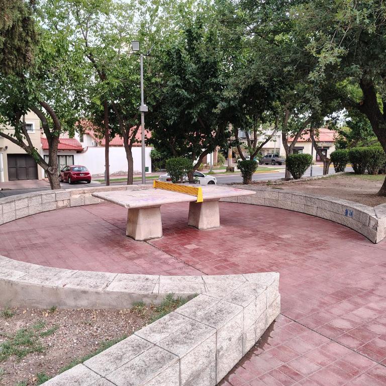The Palm HouseBoutique apartment - Apartamento de 1 dormitorio - 28