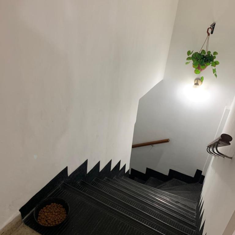 San Carlos II - Apartamento de 1 dormitorio - 14