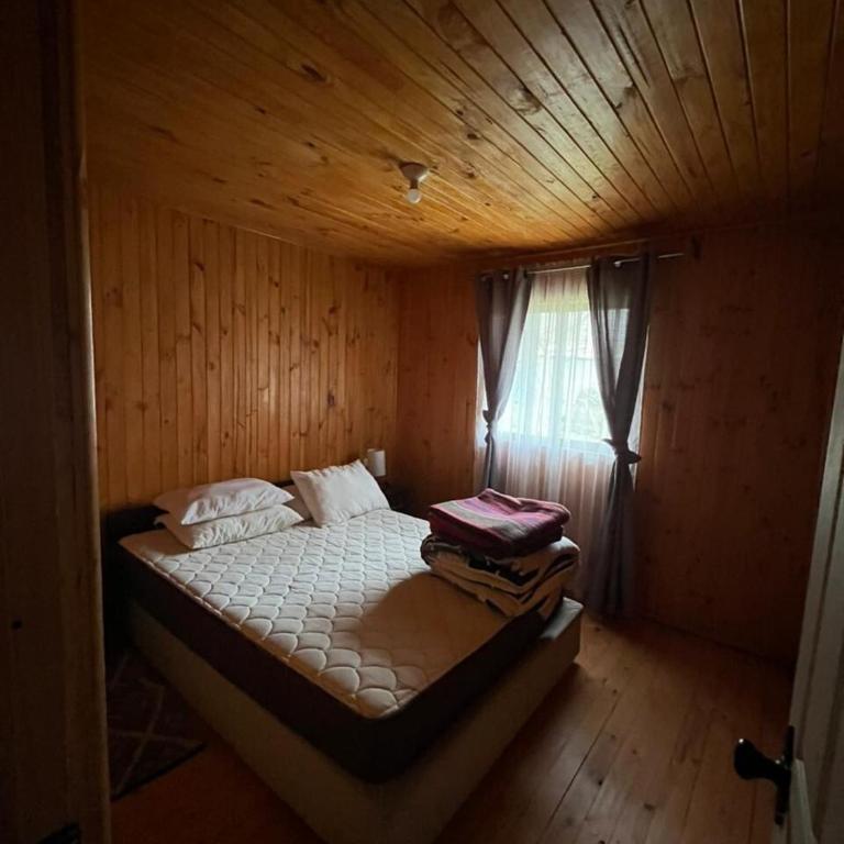 Cabaña Tricahue 1 El Colorado sector - Three-Bedroom House - 8