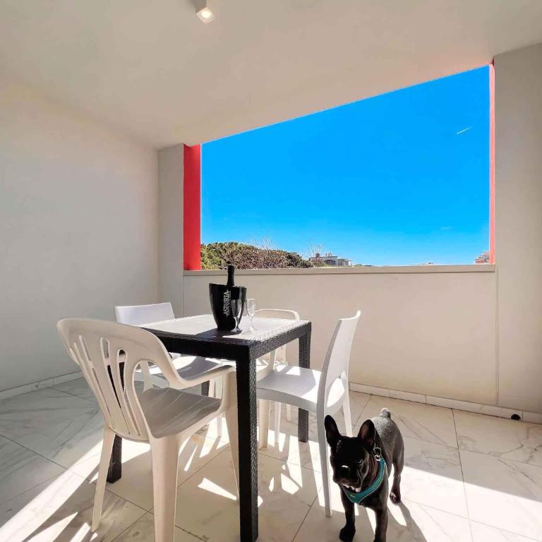 Studio in San Michele al Tagliamento 45646 - Monolocale - 20