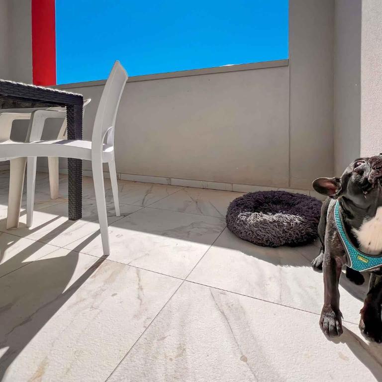 Studio in San Michele al Tagliamento 45646 - Monolocale - 23