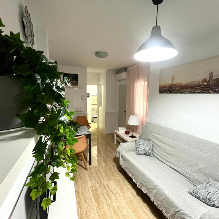Acogedor Apartamento En Rosaleda Centro - Apartamento de 1 dormitorio - 1