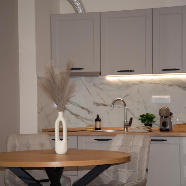 PANTEX Centar Zlatibor - Apartman sa 2 Spavaće Sobe - 7
