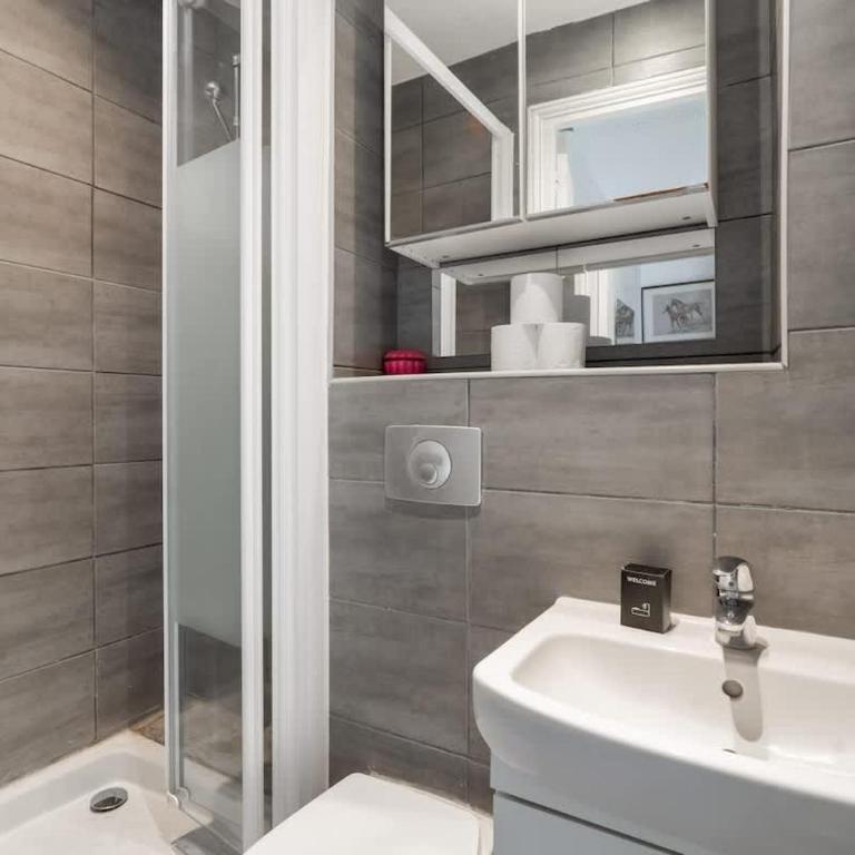 Elegant deux pieces - Paris 15e - Appartement - 20