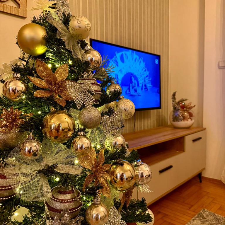 Apartmani Alexa - Apartman sa 1 Spavaćom Sobom - 8