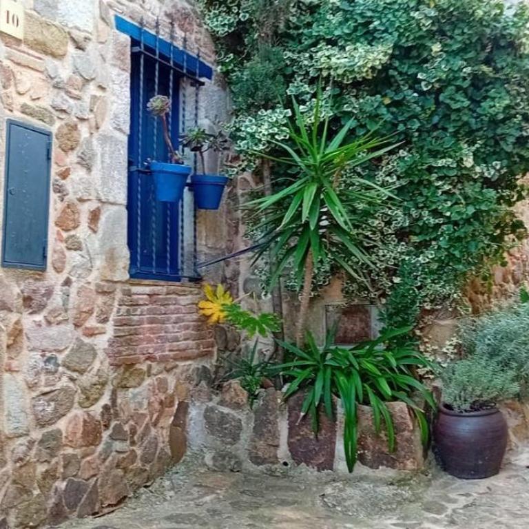 Casita de Mar - Casa de 2 dormitorios - 5