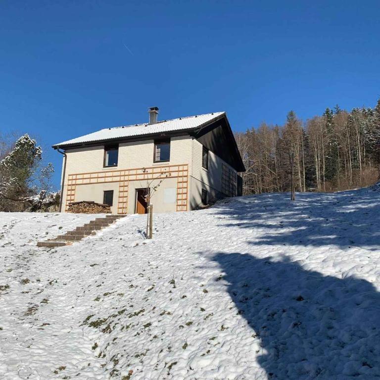 Holiday home in Bad Aussee - Steiermark 55006 - Vacation Home - 29
