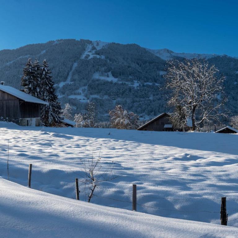Appartement calme à Samoëns avec WIFI et parking - FR-1-629-110 - Apartment - 7