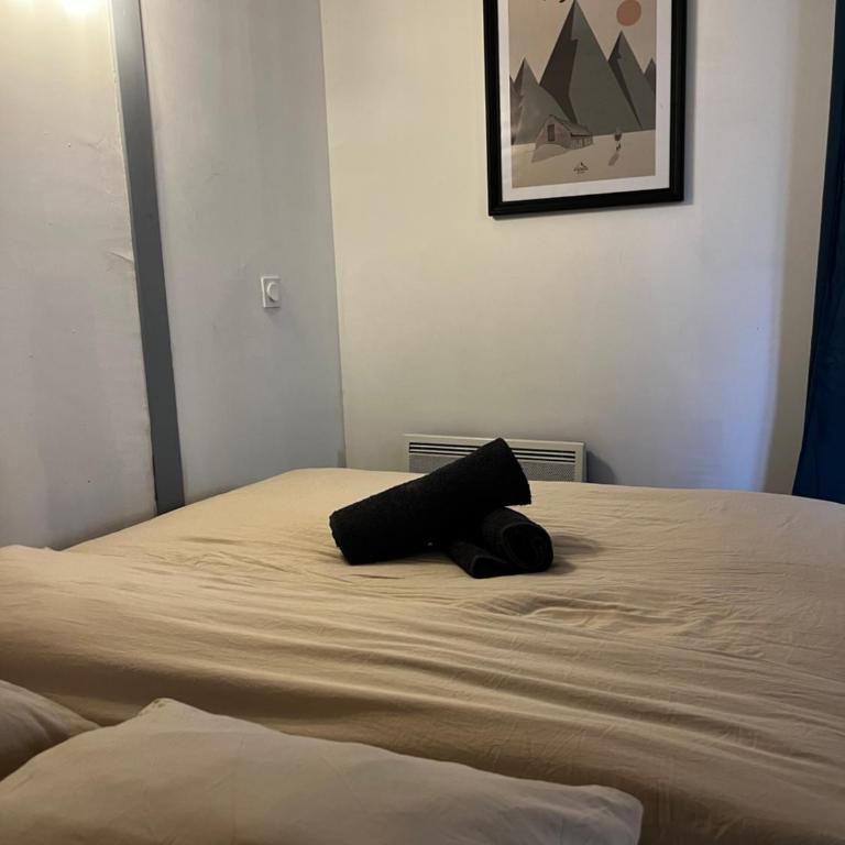 Studio hyper centre Bagnères de bigorre - Appartement 1 Chambre - 8