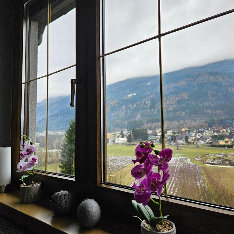 Mirnockblick Apartments - Apartment mit 1 Schlafzimmer - 16