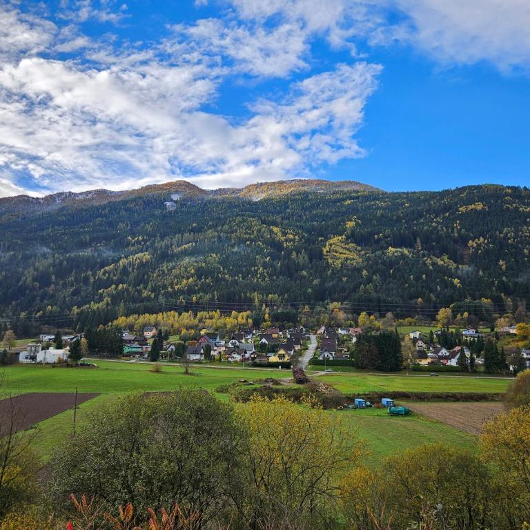 Mirnockblick Apartments - Apartment mit 1 Schlafzimmer - 12