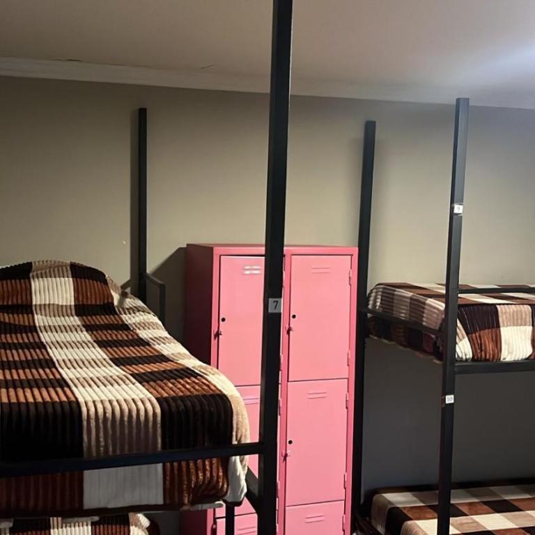 Urban Jungle Hostel - Single Bed in Female Dormitory Room - 3