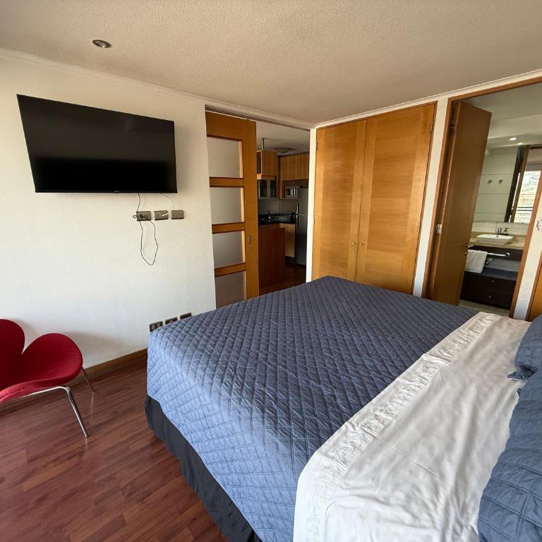 Acogedor departamento en providencia - One-Bedroom Apartment - 2