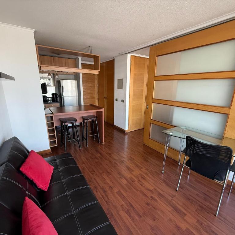 Acogedor departamento en providencia - One-Bedroom Apartment - 5