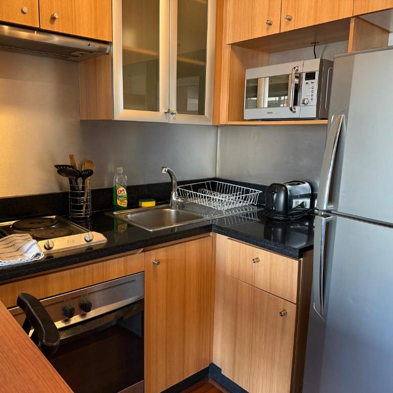 Acogedor departamento en providencia - One-Bedroom Apartment - 6