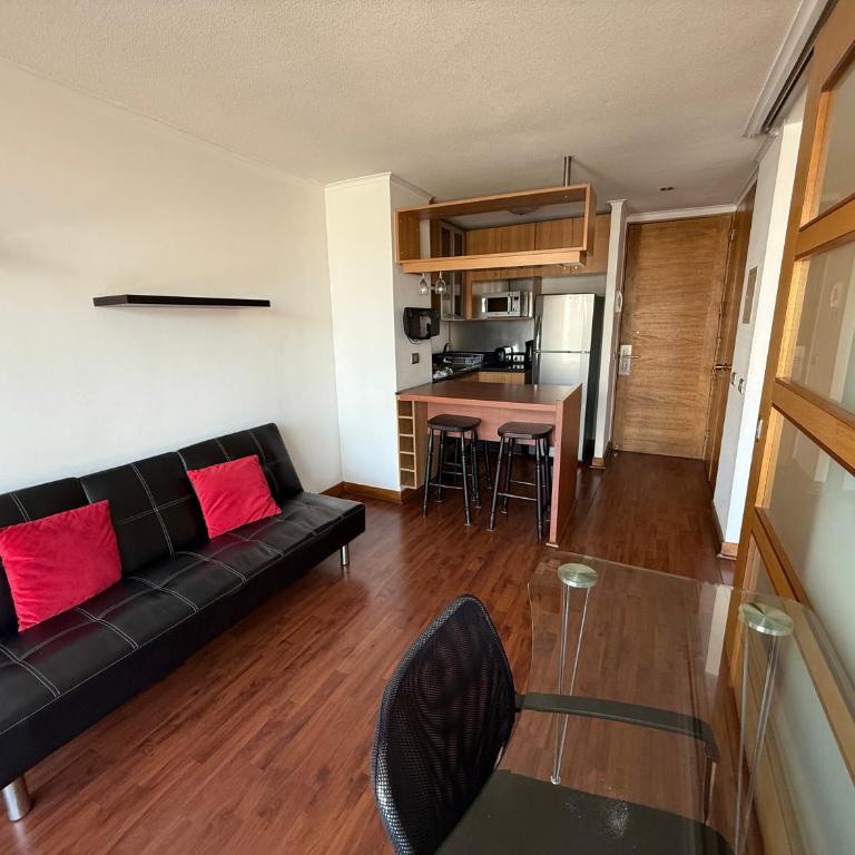 Acogedor departamento en providencia - One-Bedroom Apartment - 8