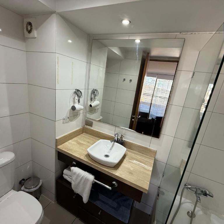 Acogedor departamento en providencia - One-Bedroom Apartment - 9