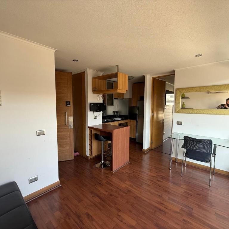 Acogedor departamento en providencia - One-Bedroom Apartment - 6