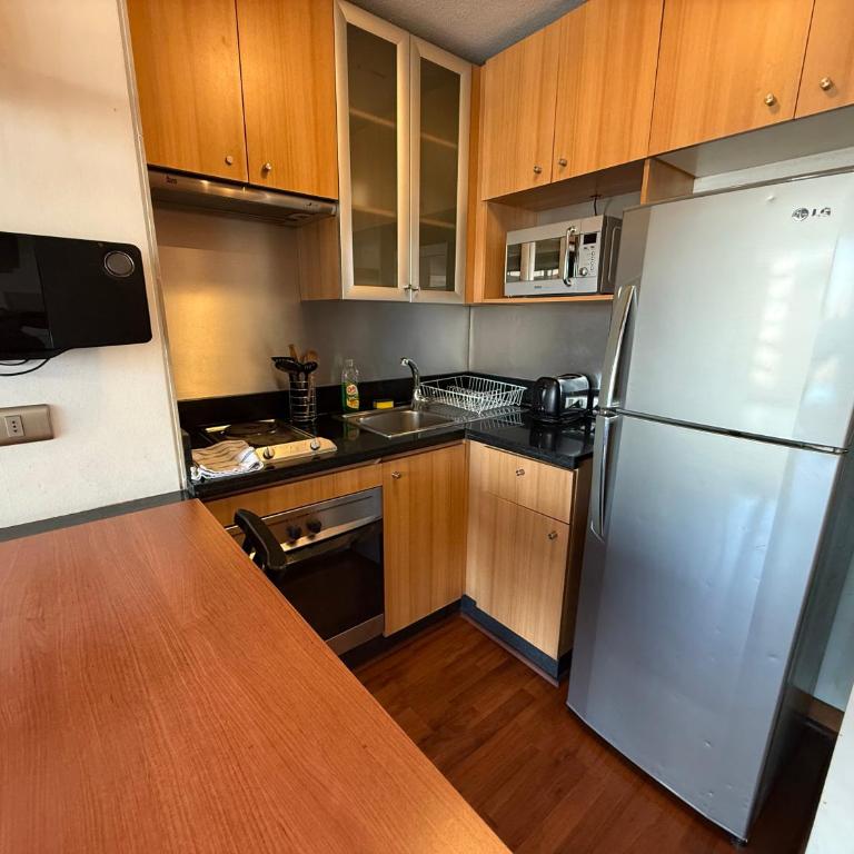 Acogedor departamento en providencia - One-Bedroom Apartment - 15