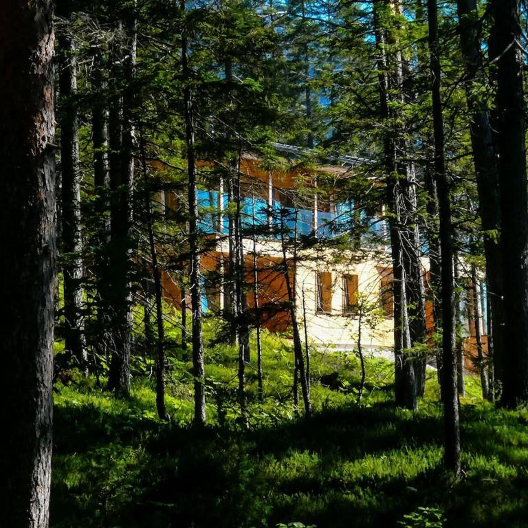 Ferdi Mountain Base Luxury Lodge in Dachstein Mountains - Chalet - 14