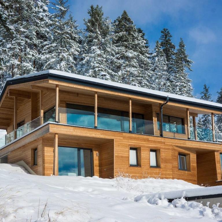 Ferdi Mountain Base Luxury Lodge in Dachstein Mountains - Chalet - 34