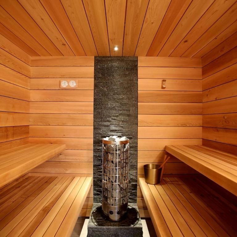 Ferdi Mountain Base Luxury Lodge in Dachstein Mountains - Chalet - 23