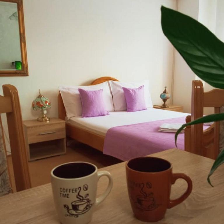 Apartman Anđelina Vrnjačka Banja - Apartman - 10