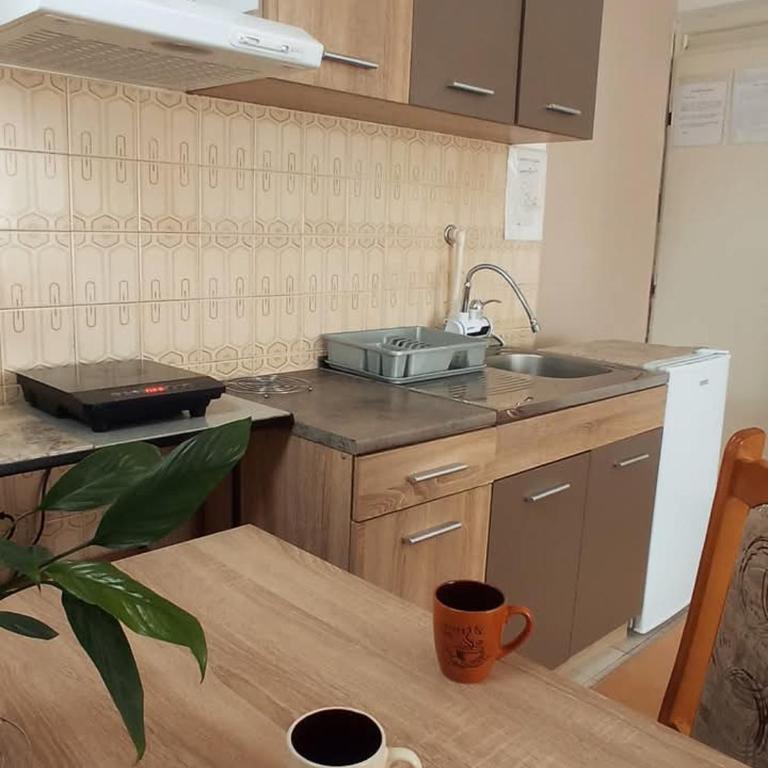 Apartman Anđelina Vrnjačka Banja - Apartman - 14